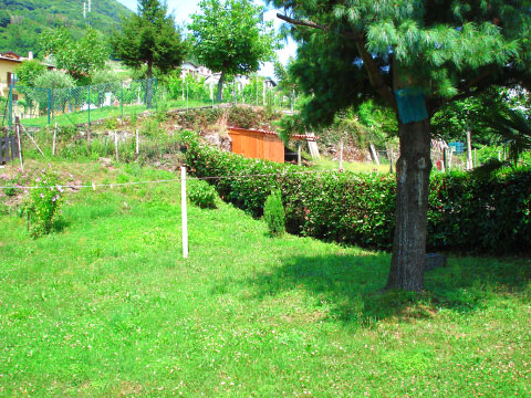 Alma_Vercana_20_Garten