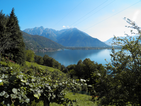 Elena_Vercana_25_Panorama