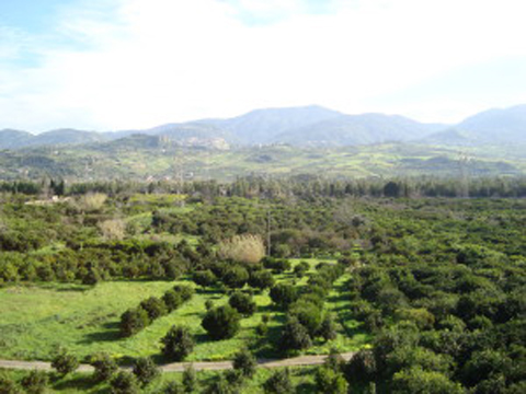 Fontanella_Rodi_Milici_25_Panorama