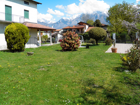 Glicine_Sorico_20_Garten