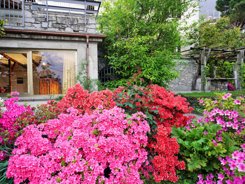 Ivan_Vercana_20_Garten