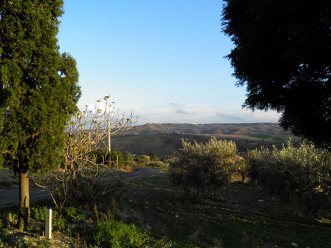 Oca_Rossa_Montenero_di_Bisaccia_60_Landschaft