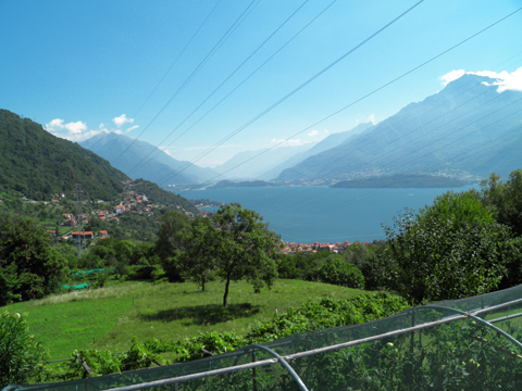 Ronco_Alborescia_25_Panorama