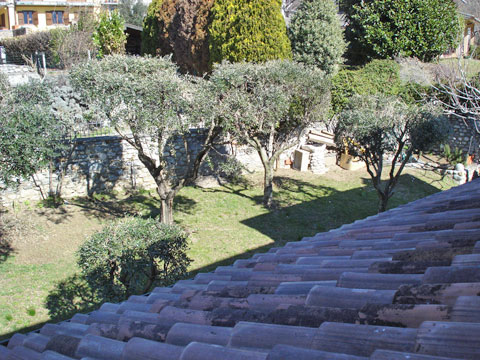 Uliva_Domaso_60_Landschaft