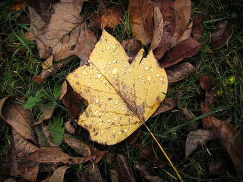 Herbstferien