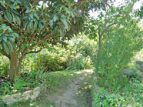 Arizzano_Primo_5317_Arizzano_20_Garten