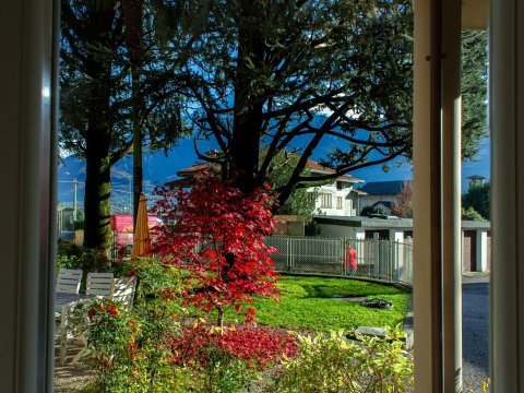 Cedro_103_Domaso_26_Panorama