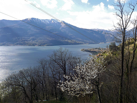Collina_Bellano_25_Panorama