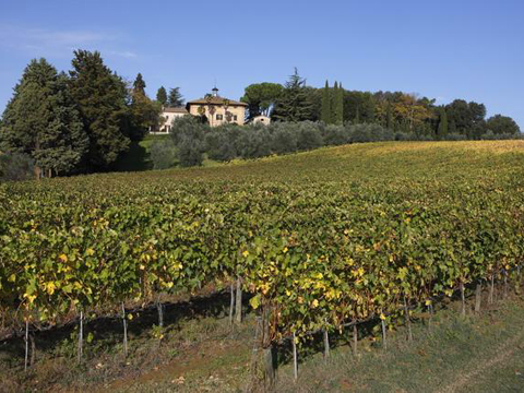 Cottage_il_Nespolo_Siena_25_Panorama