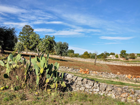 Ika_Ostuni_25_Panorama