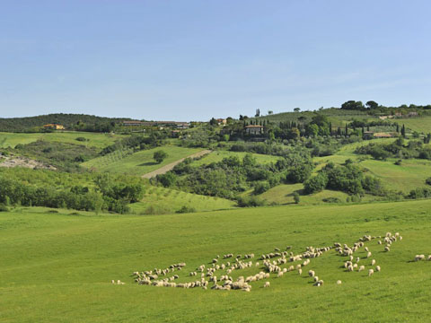 La_Pergola_Typ_D_Casole_d_Elsa_25_Panorama