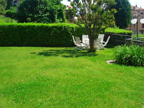 Le_Magnolie_Sesto_Domaso_21_Garten