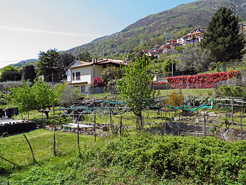 Nella_Pianello_del_Lario_65_Strand