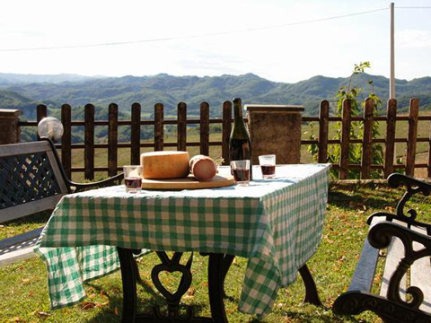 Piobbico_Ciclamino_Piobbico_20_Garten