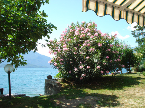 Riva_Gera_Lario_25_Panorama