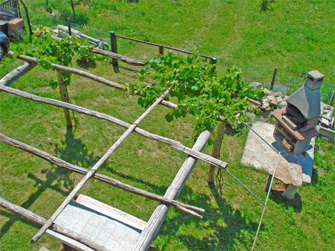 Vico_Primo_Vercana_20_Garten