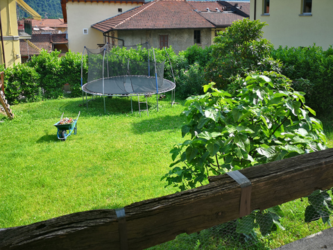 Viki_Carlazzo_21_Garten