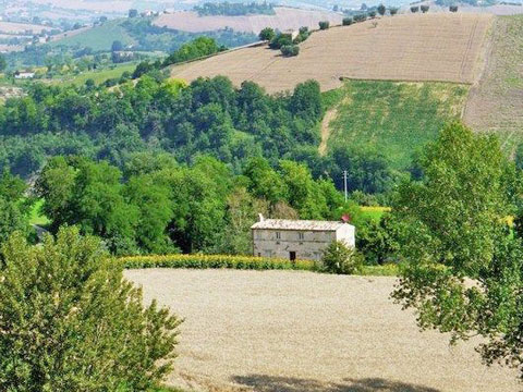 Zafferano_Monte_Vidon_Combatte_25_Panorama